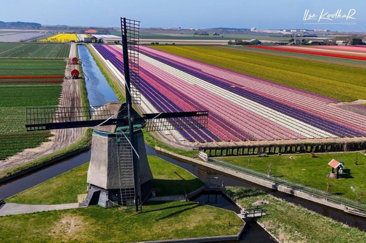 B&B Duinbrink Den Helder Bagian luar foto